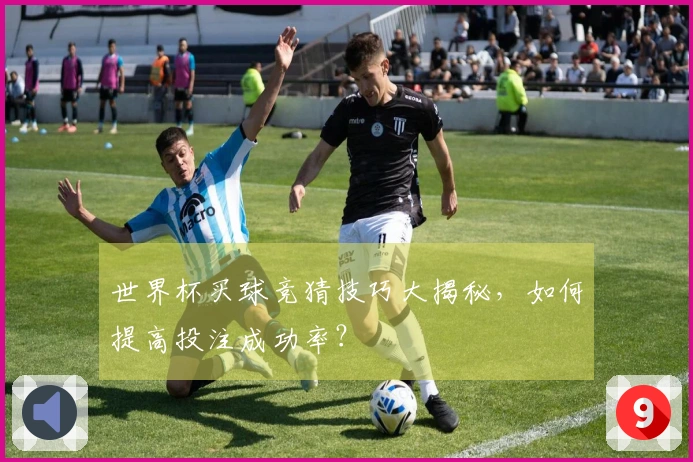 世界杯买球竞猜技巧大揭秘，如何提高投注成功率？