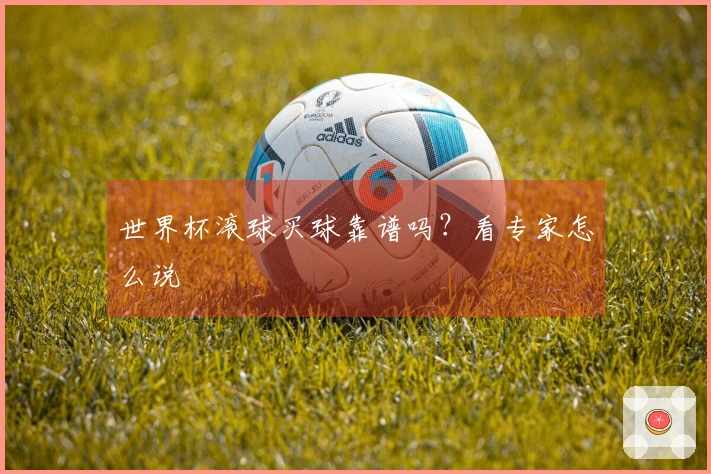 世界杯滚球买球靠谱吗？看专家怎么说