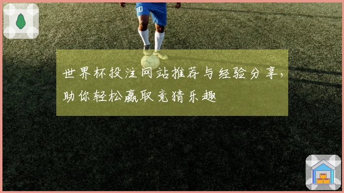 世界杯投注网站推荐与经验分享，助你轻松赢取竞猜乐趣