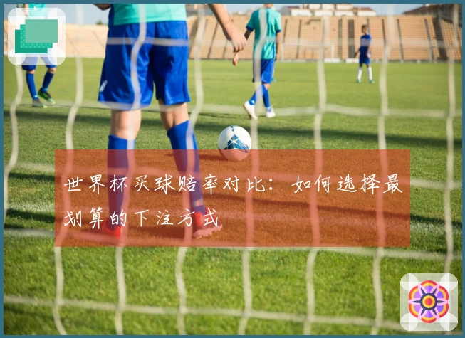 世界杯买球赔率对比：如何选择最划算的下注方式