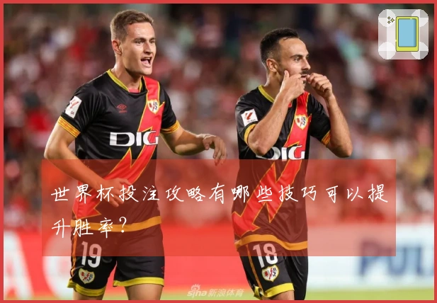 世界杯投注攻略有哪些技巧可以提升胜率？