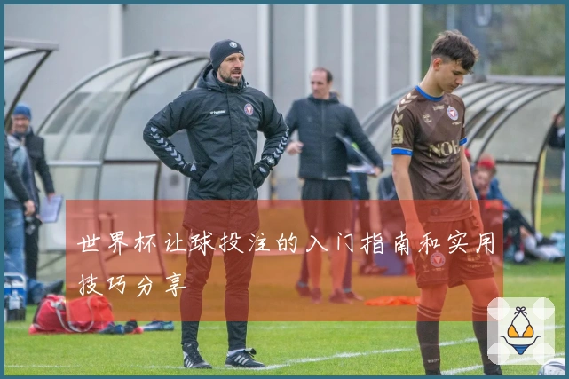 世界杯让球投注的入门指南和实用技巧分享