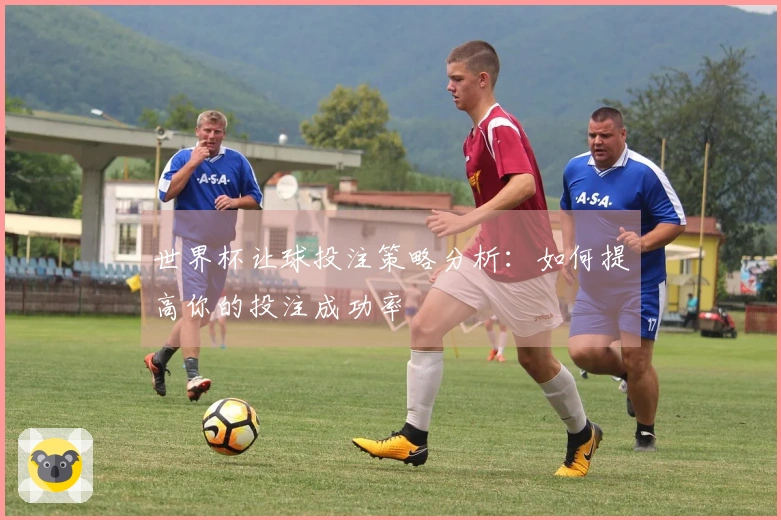 世界杯让球投注策略分析：如何提高你的投注成功率