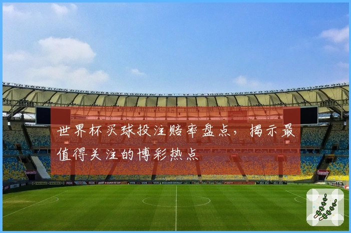世界杯买球投注赔率盘点，揭示最值得关注的博彩热点