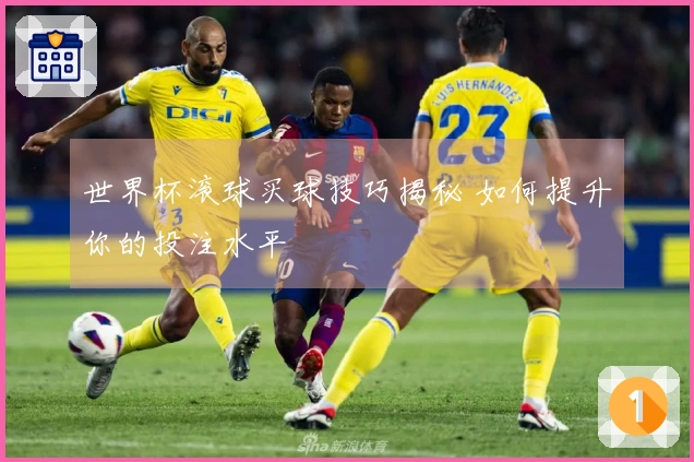 世界杯滚球买球技巧揭秘 如何提升你的投注水平