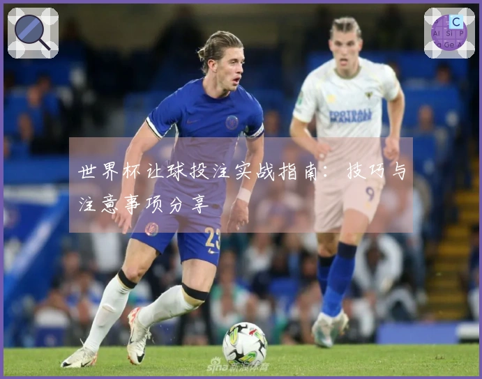 世界杯让球投注实战指南：技巧与注意事项分享
