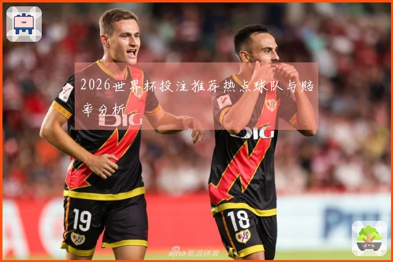 2026世界杯投注推荐热点球队与赔率分析
