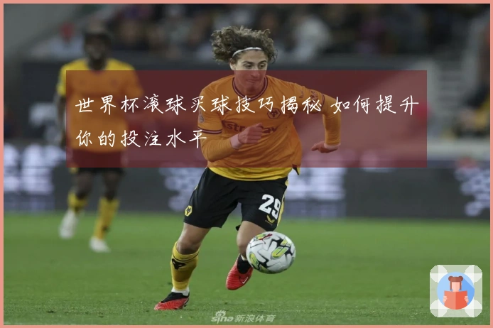 世界杯滚球买球技巧揭秘 如何提升你的投注水平