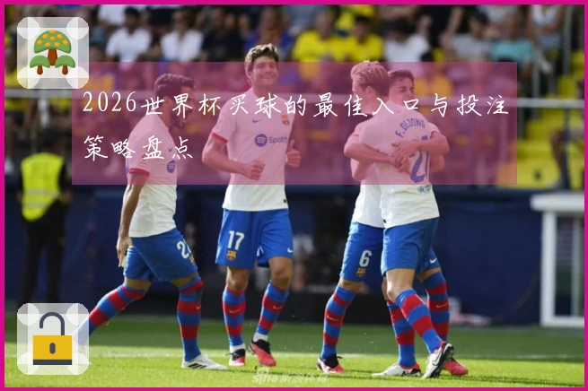 2026世界杯买球的最佳入口与投注策略盘点