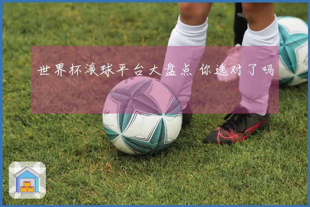 世界杯滚球平台大盘点 你选对了吗