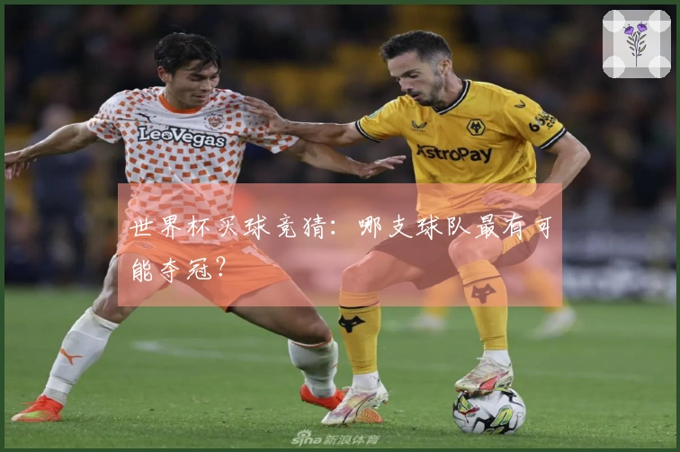 世界杯买球竞猜：哪支球队最有可能夺冠？