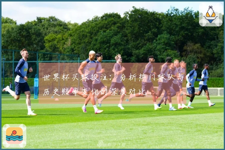 世界杯买球投注：分析热门球队与历史赔率变化的深度对比