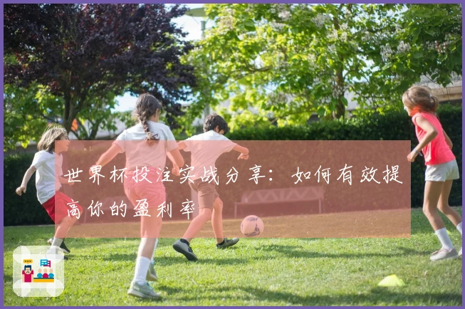 世界杯投注实战分享：如何有效提高你的盈利率