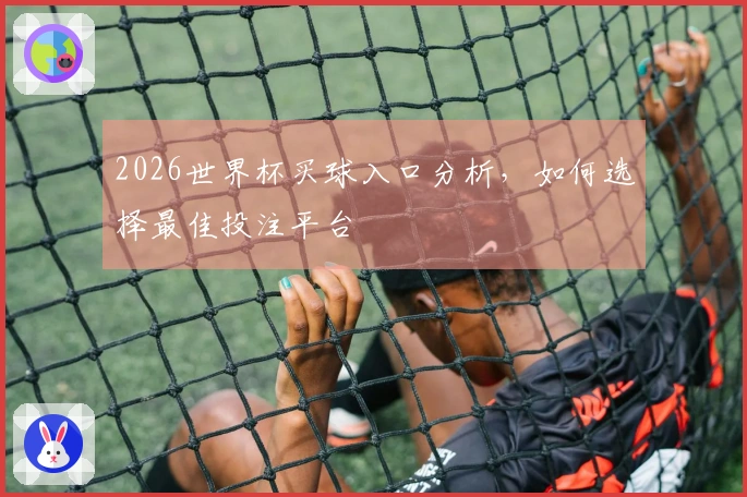 2026世界杯买球入口分析，如何选择最佳投注平台