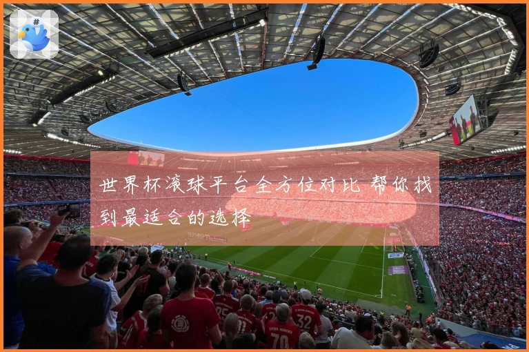 世界杯滚球平台全方位对比 帮你找到最适合的选择